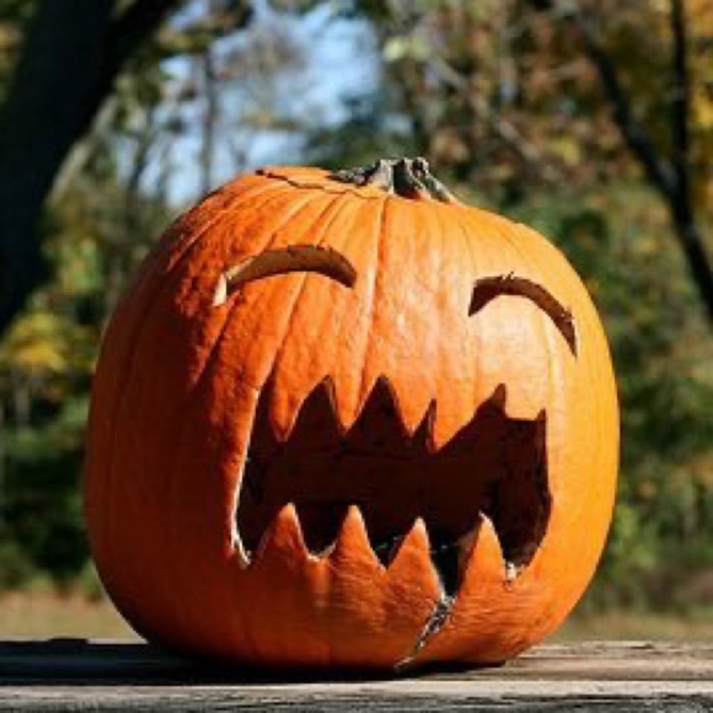 Meet your Posher, Pad Sumpkin 👋